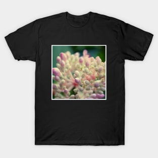 Pretty Red Flower with green leaves nature lovers beautiful photography design T-Shirt